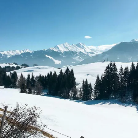 Bauernhof Harlandleiten 226s شقة ميترسل